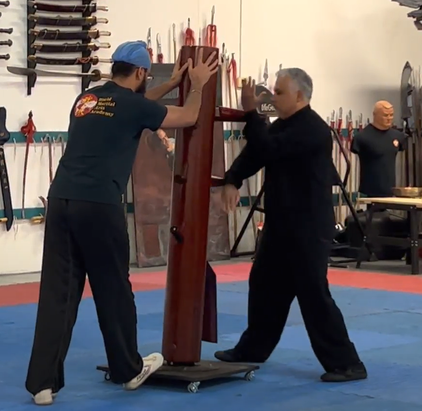 World Martial Arts Academy training and community