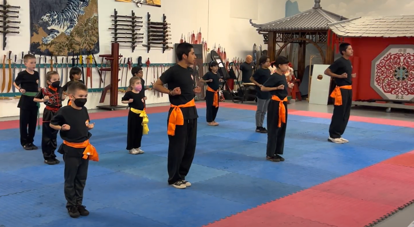 World Martial Arts Academy training and community