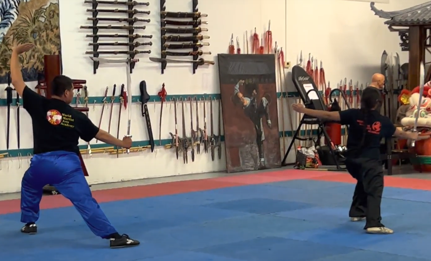 World Martial Arts Academy training and community