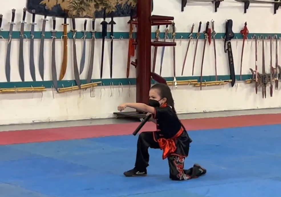 World Martial Arts Academy training and community