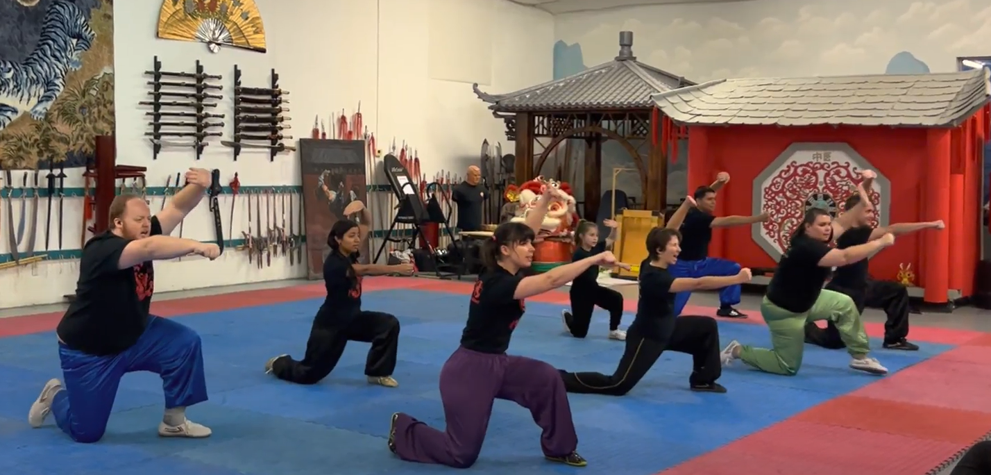 World Martial Arts Academy training and community